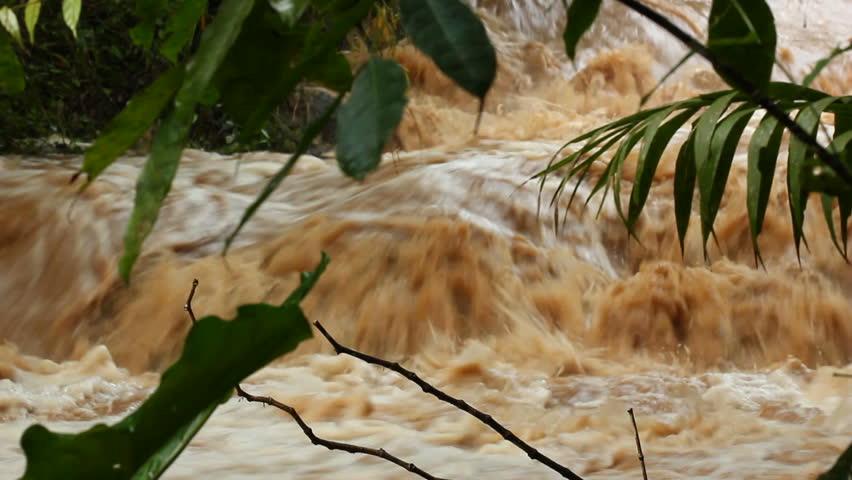 Mud and water pouring down a jungle watercourse after very heavy rain. On the Pacific coast of Ecuador.