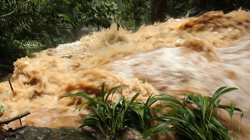 Mud and water pouring down a jungle watercourse after very heavy rain. On the Pacific coast of Ecuador.