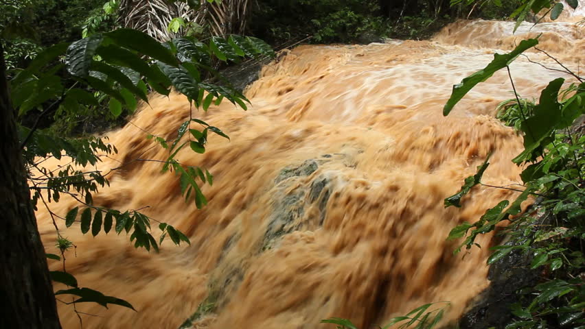 Mud and water pouring down a jungle watercourse after very heavy rain. On the Pacific coast of Ecuador.