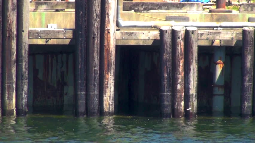 Small wharf in ocean inlet