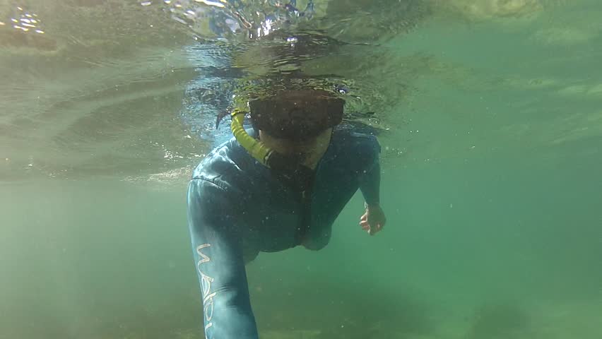 Snorkeler swimming and filmed underwater in marine reserve Goat Island in New Zealand.