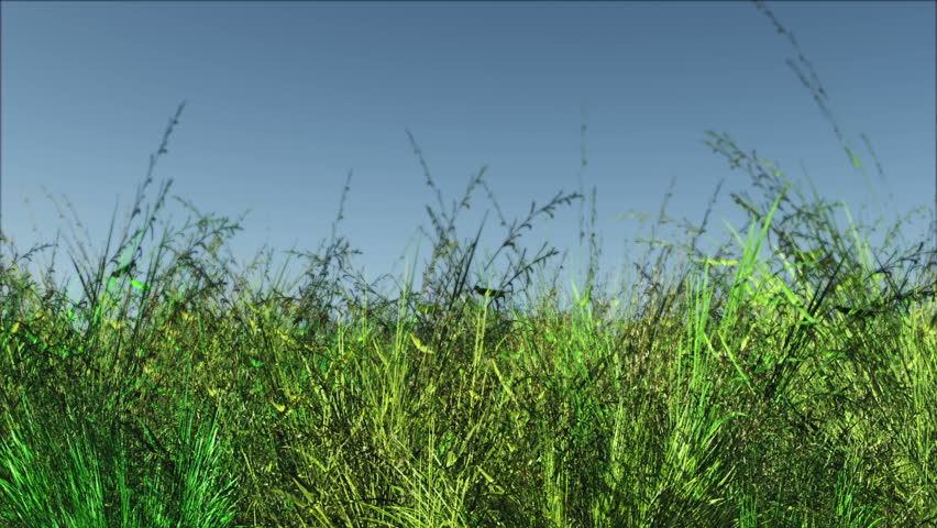 Meadow 3D render surrelasitic mysterious