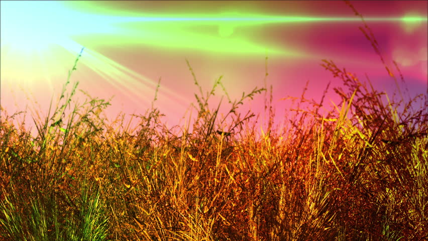 Meadow 3D render surrelasitic mysterious