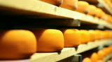 Blue cheese gouda Factory food process parmesan swiss dairy feta france milk