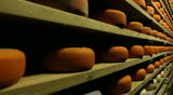 Blue cheese gouda Factory food process parmesan swiss dairy feta france milk