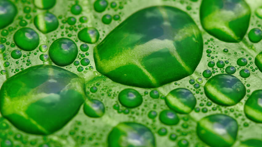 Clouds reflected in water drops time-lapse
