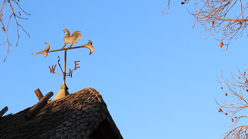 Decorative weather vane on top of rural looking house with skeletal trees surrounding . Shot early morning as the sunrise begins. Mostly still with a light breeze.