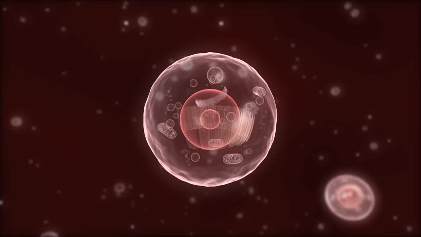 generic cell