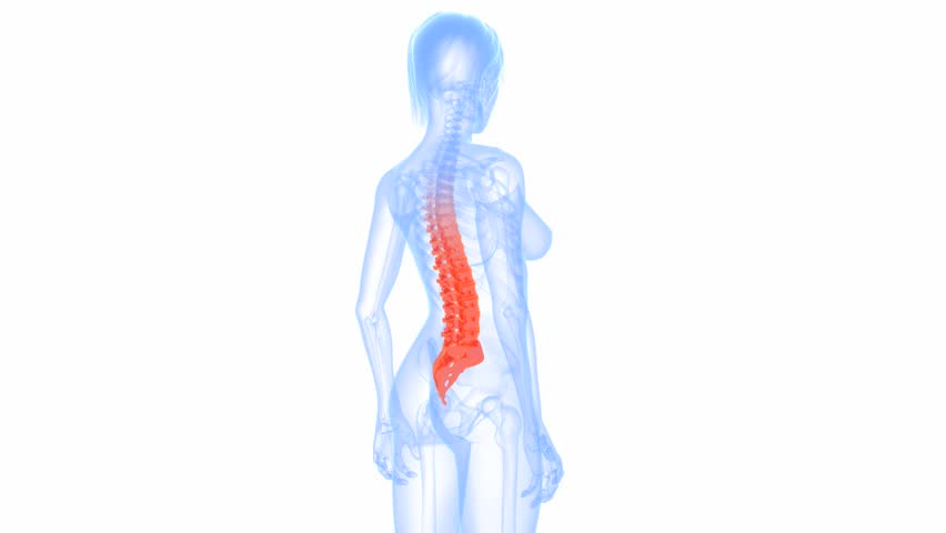 painful spine