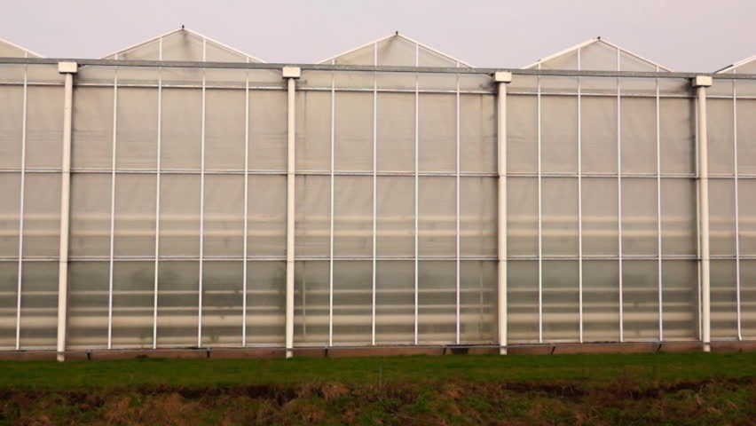Greenhouse