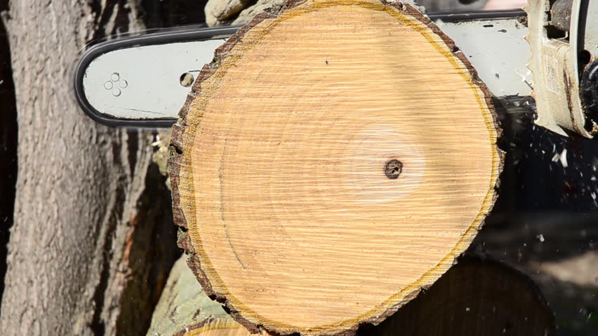 cutting wood with a chainsaw, sound, HD
