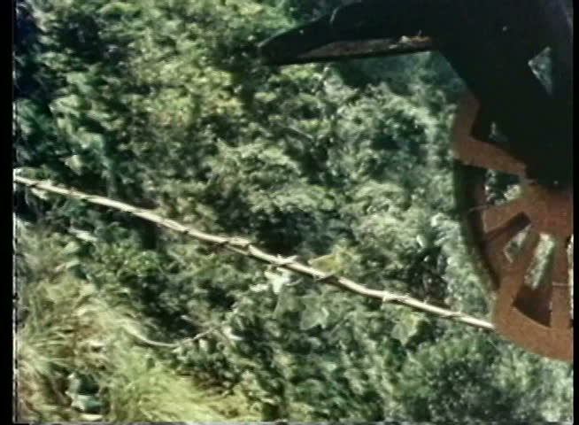 Man balancing person in wheelbarrow while walking across tightrope