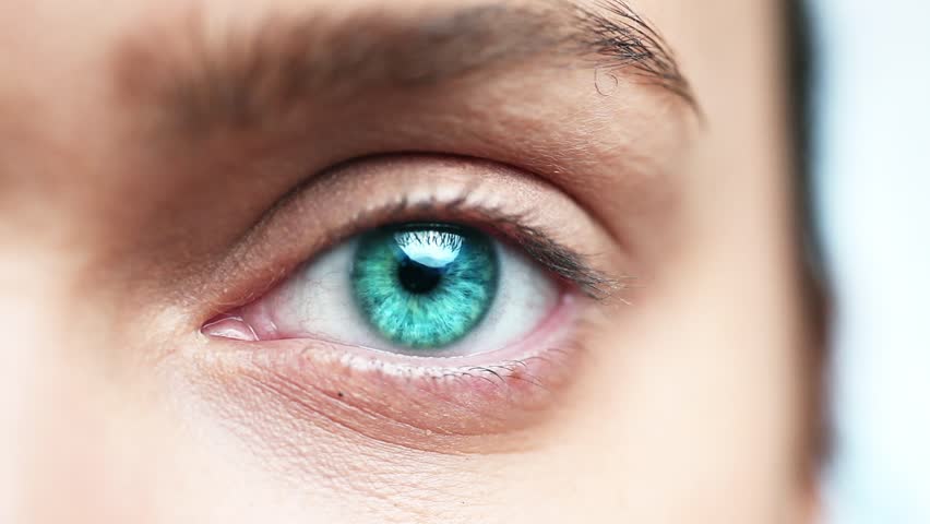 Macro closeup of human eye blinking