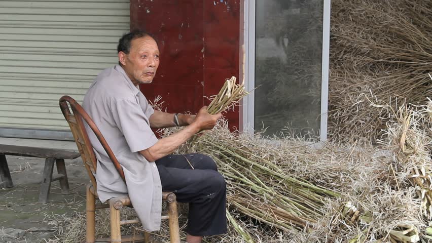 SHENZHEN, CHINA - CIRCA JUNE 2011: Chinese wheat farmer sitting on a chair wrapping wheat into small bundles