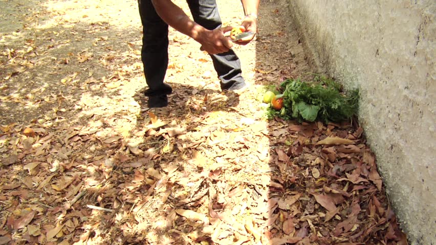 Man beginning composters