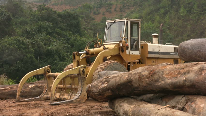 Uncontrolled timber deforestation and destruction of wilderness by illegal logging industry in the rain forest in the Central Highlands of Vietnam. 