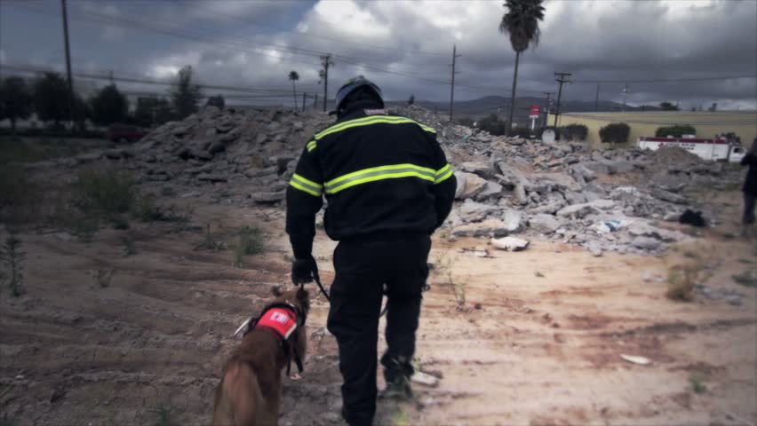 Rescue Dog