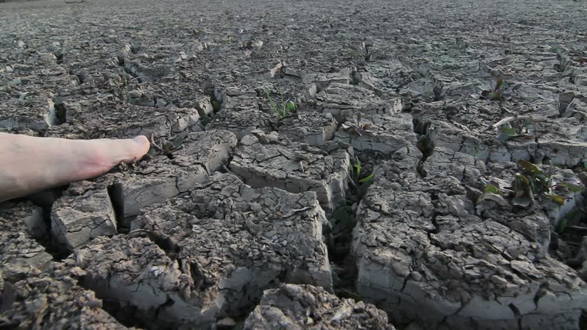 Man wanders, barefoot, through arid, desolate landscape, end of the world concept. 1080p