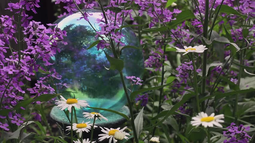 Dames Rockets and Daisies surrounding gazing ball. 