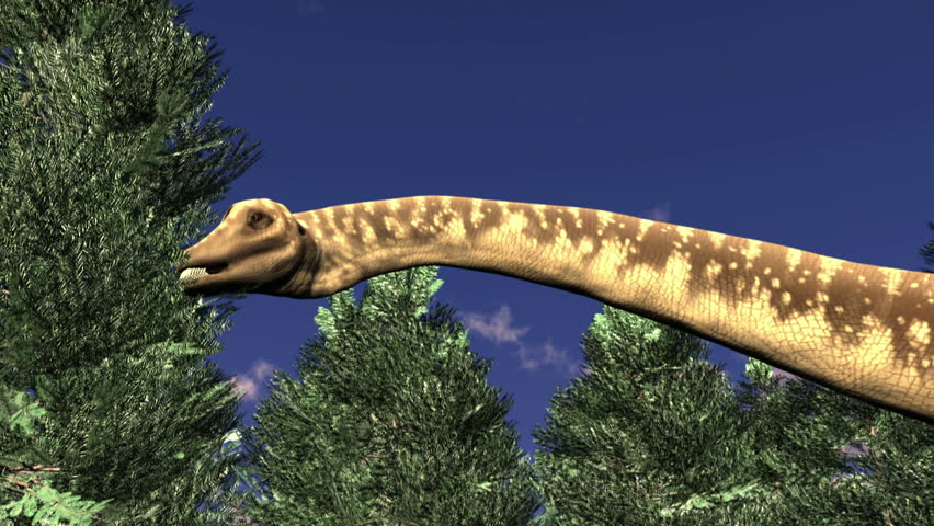 dinosaur