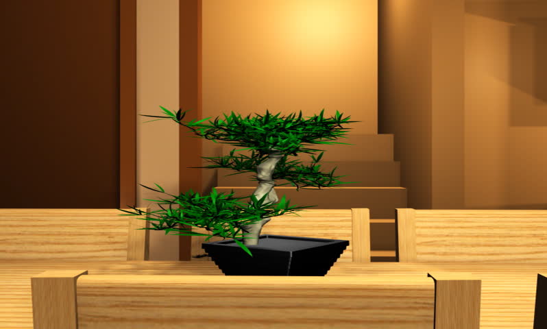 footage of a beautiful room interior 