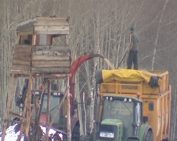 tractor with crane loads branches to pile and granulated chips fall into trailer
