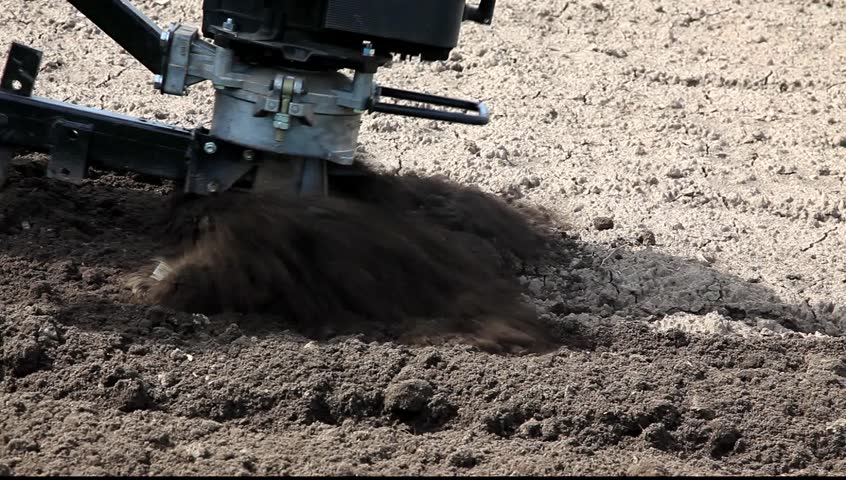 The farmer cultivates the earth in the spring for landing of vegetables