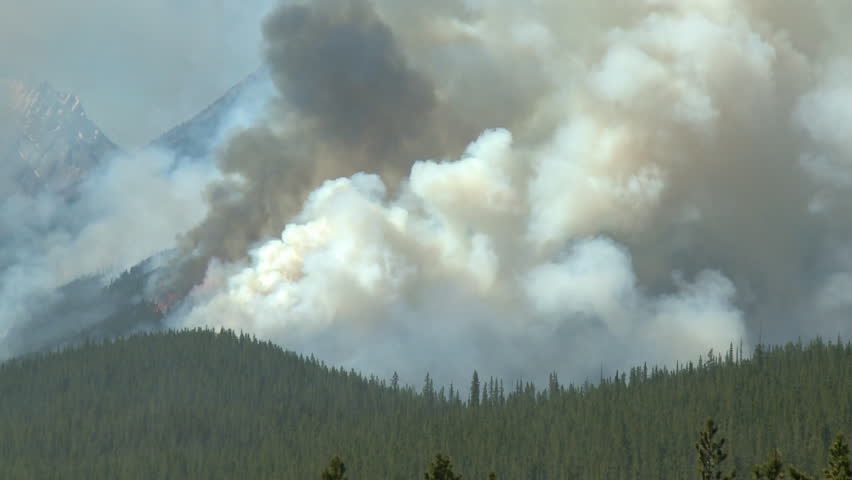 Forest fire in the Rocky Mountains