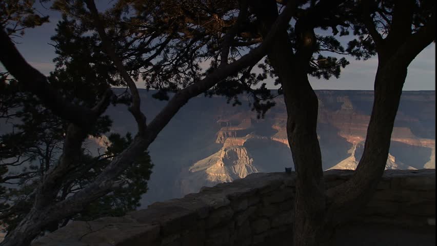 grand canyon framed in junipers