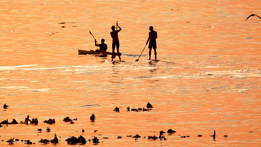 Long shot of two people paddle boarding, and one person kayaking in Cape Town, South Africa.