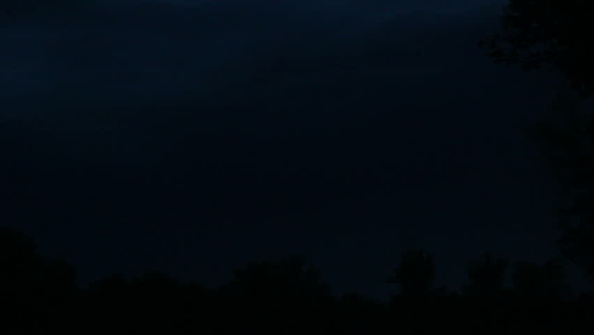 Lighting during a storm in the forest 