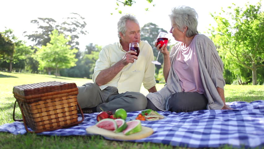 Mature couple drinking wines while at a picnic in a park
