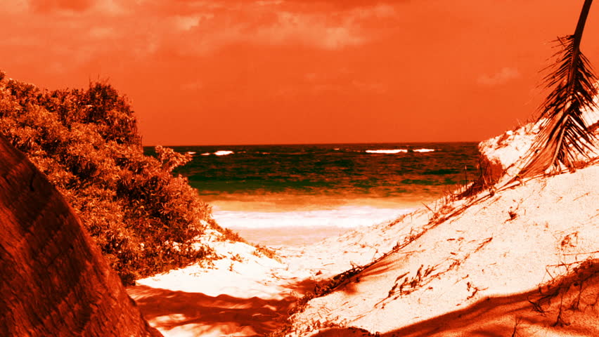 motion timelapse of a perfect paradise beach with a lone palm tree, mexican caribbean coast (using dynamic perception motion dolly)