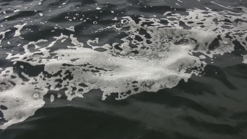 Pollution on the surface of a freshwater lake.