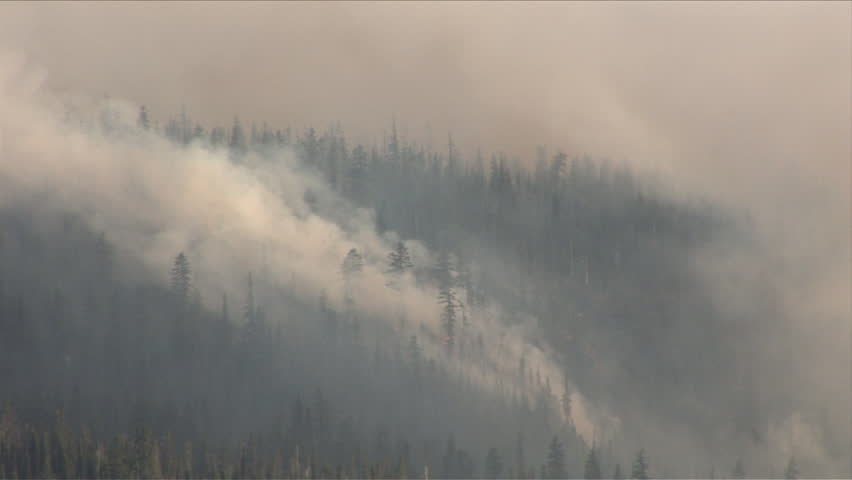 Forest fire and lots of smoke in Oregon Pacific Northwest United States