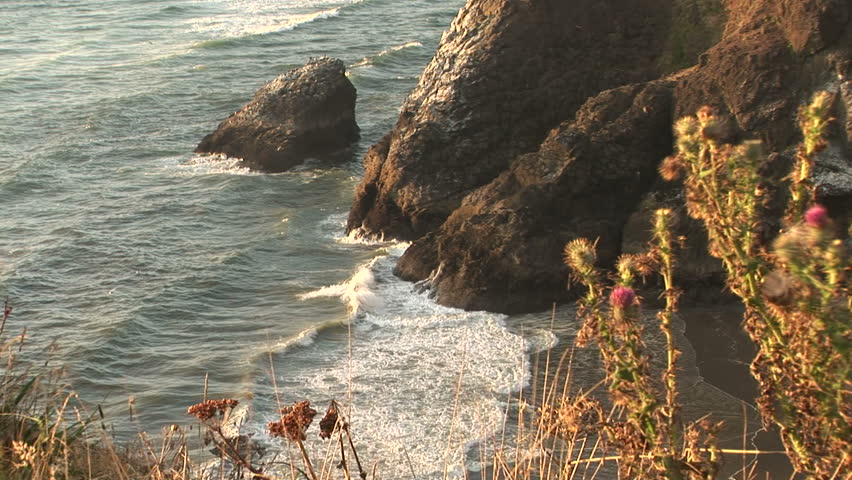 Sea cliffs and ocean into inlet, Ilwaco, Washington.	 Format: NTSC HDV Compression: MotionJPEG-A Camera: Sony HVR-Z1U Size: 1080i (1920 x 1080) Sound: No