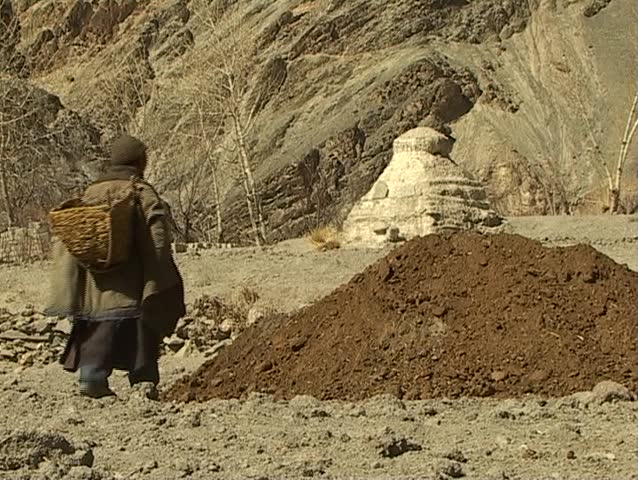 Old man carrying heavy packages in the Himalayas (fertilizing soil with dried yak dung)