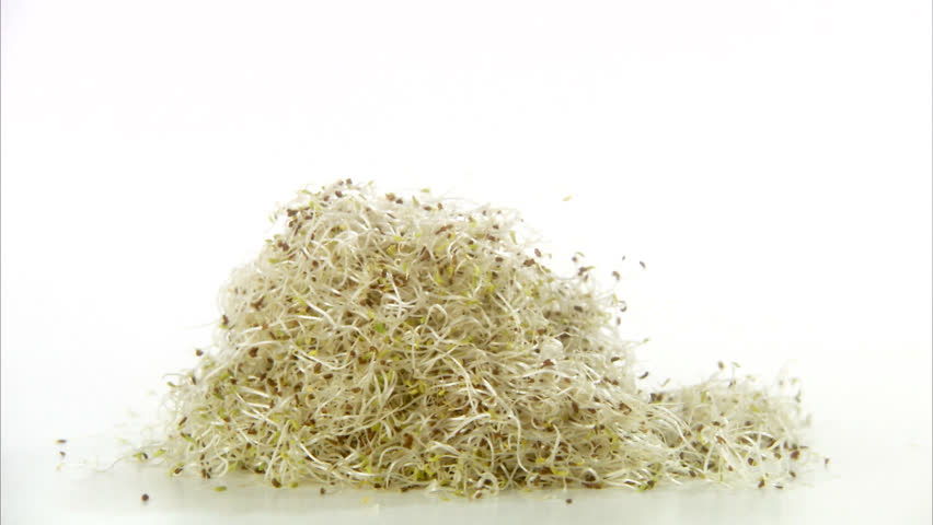mound of bean sprouts