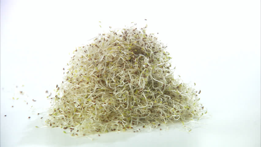 pile of bean sprouts