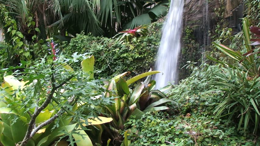 Beautiful Waterfall in Rain Forest 