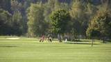 Playing golf - HD 1920x1080