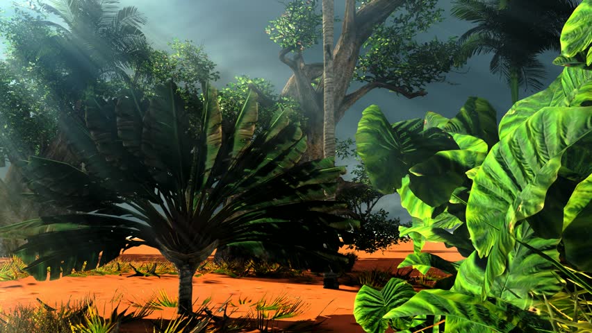 African savannah