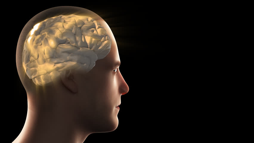 Male brain neural activity green grid arrows show dimensions of cerebrum cerebral cortex brain signal transmission superior view 3D human head skull anatomical model black background visualization