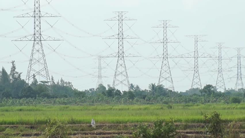 Thai farmers working handheld motor plow in a rice field, with electric tower background.