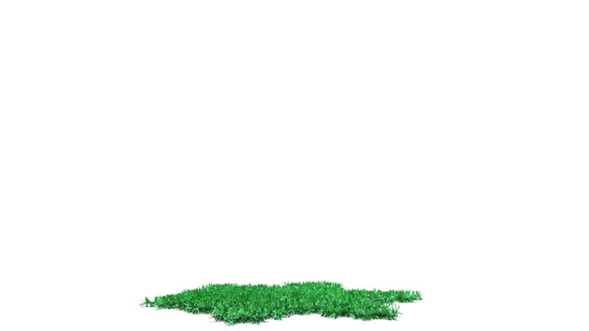 Christmas tree grows and dresses up sphere toys. 3d animation