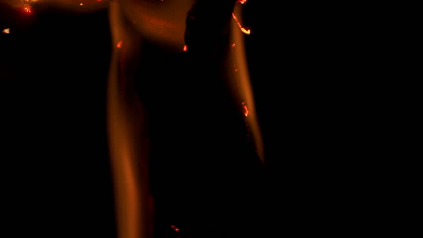 Burning paper. Macro. The paper was a fire burning.