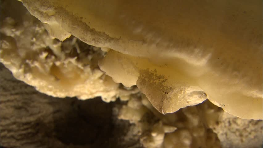 Pan across cave wall to wet stalactite
