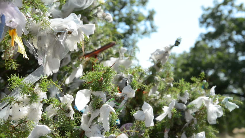 Ribbons of desires on tree. 