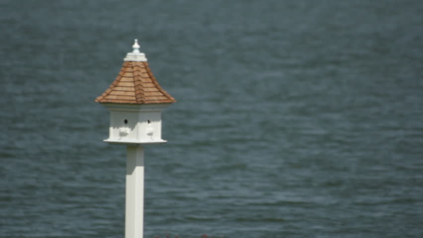 A high rent property. A new white bird house on the lake shore in Topeka, KS.