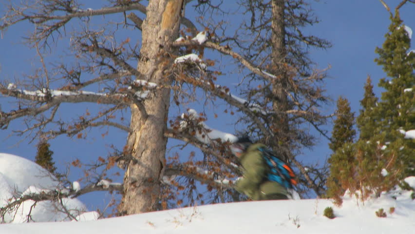Male snowboarder carving through powder in steep back-country terrain